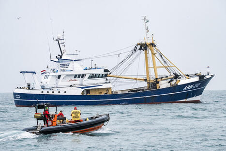 Dans la Manche, les p&ecirc;cheurs fran&ccedil;ais font monter la pression pour interdire les plus gros chalutiers de la bande c&ocirc;ti&egrave;re &mdash; | HALIEUTIQUE MER ET LITTORAL | Scoop.it