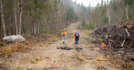 Sentier national au Québec : laisser la forêt reprendre ses droits | Ils parlent de nous ! | Scoop.it