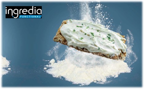 Ingredia Functional : Des protéines de lait fonctionnelles qui équilibrent santé et gourmandise | Lait de Normandie... et d'ailleurs | Scoop.it
