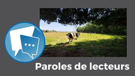 Les lecteurs de Web-agri cherchent comment faire face au manque d'herbe | Actualit&eacute;s de l'&eacute;levage | Scoop.it