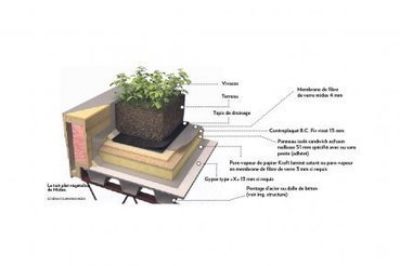 Toits écolos et poésie potagère (Canada) | Build Green, pour un habitat écologique | Scoop.it