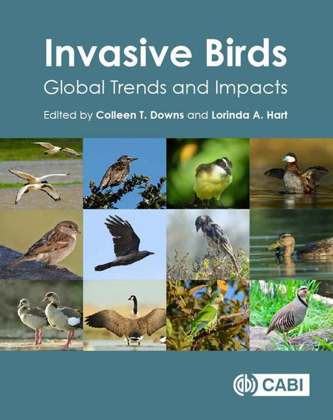 Invasive Birds - Global Trends and Impacts | Biodiversité | Scoop.it