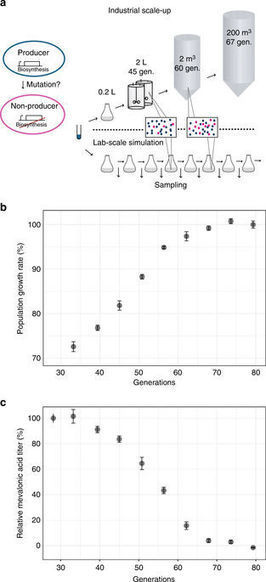 Diverse genetic error modes constrain large-scale bio-based production | RMH | Scoop.it
