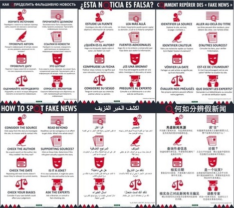 IFLA-De vraies solutions aux fausses nouvelles : la contribution des biblioth&egrave;ques | Bo&icirc;te &agrave; outils num&eacute;riques | Scoop.it