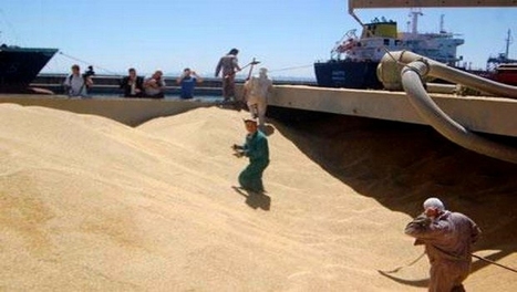 Algérie/Céréales: hausse des importations sur les 4 premiers mois de 2015 | MED-Amin network | Scoop.it