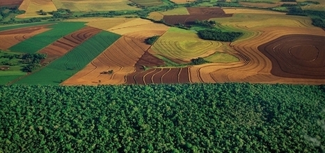 Quantis Introduces New Land Use Guidance to Slash Global Supply Chain Emissions | Sustainable Brands | Sustainability Science | Scoop.it