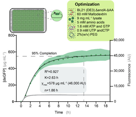 Multiparameter optimization extends the lifetime of cell-free protein synthesis in a high-throughput format | brvbe | RMH | Scoop.it