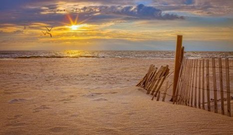 16 Reasons Why Maryland Really Is America In Miniature | Daring Fun & Pop Culture Goodness | Scoop.it