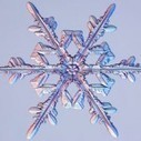 How do snowflakes get their shape? | Science News | Scoop.it
