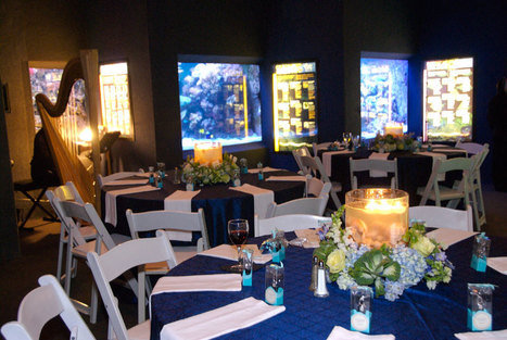 Event Spaces - HOUSTON ZOO - NATURALLY WILD | Student Leadership | Scoop.it