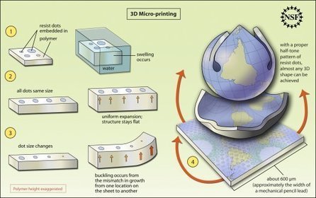 Video: 3-D Curling Method Creates Custom Structures From Flat Plastic Sheets | Popular Science | Science News | Scoop.it