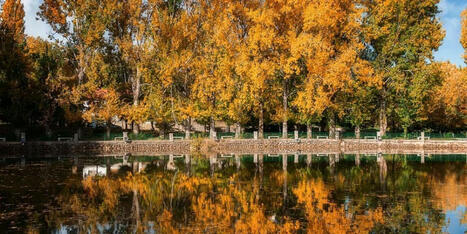 MAROC : Moyen-Atlas. La bataille de l&rsquo;eau dans un paradis menac&eacute; | CIHEAM Press Review | Scoop.it