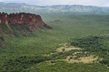 Deforestation threatens Brazil's wetland sanctuary | BIODIVERSITY IS LIFE  &ndash; | Scoop.it