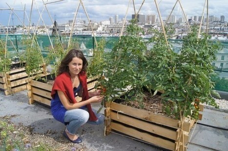 Ils plantent des potagers sur les toits de Paris | Paysage - Agriculture | Scoop.it