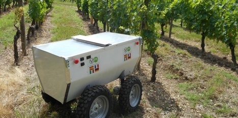 La viticulture est en voie de robotisation | Le Cognac et son vignoble | Scoop.it