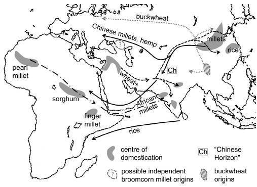 10+ Columbian Exchange Map Black And White Pics