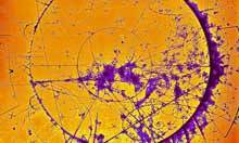 Neutrinos still faster than light in second test | Good news from the Stars | Scoop.it