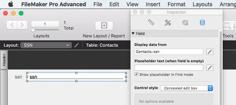 Mask Data with Concealed Edit Boxes in FileMaker 15 | Learning Claris FileMaker | Scoop.it