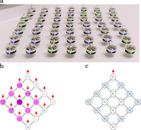 Coherent movement of error-prone individuals through mechanical coupling | Papers | Scoop.it