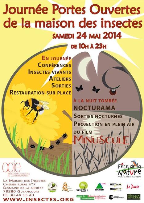 Samedi 24 mai : Journée portes ouvertes de la Maison des insectes | Variétés entomologiques | Scoop.it