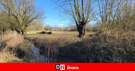 En mars se construira une digue de protection autour des Pr&eacute;s d&rsquo;Amour entre Tournai et Warchin - La DH/Les Sports+ | Ecod&eacute;veloppement territorial | Scoop.it