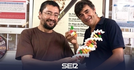 El origen del oro | SER Málaga | Hoy por Hoy Málaga | Ciencia-Física | Scoop.it