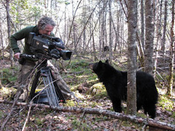 Une webcam dans la caverne de l'ours (live) | Pastoralisme Ours Loups Lynx | Scoop.it