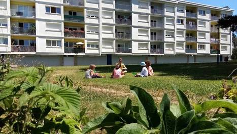 Auray. A l’Oasis du Parco, on cultive le lien social | L'actualité des quartiers politique de la ville de Bretagne et Pays de la Loire | Scoop.it