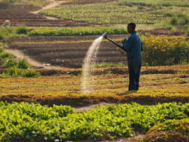 La RDC et l'Argentine signent un accord de coopération agricole | Questions de développement ... | Scoop.it