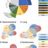 from Flow Cytometry to Cytomics