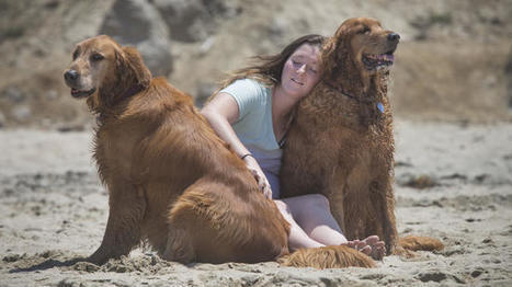 How watching a cute animal video makes the world a better place ...and more empathic. | Empathy and Animals | Scoop.it