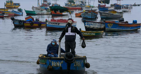 Peru’s ‘catastrophe’ oil spill slams small-scale fishermen | Environment News | Al Jazeera | Agents of Behemoth | Scoop.it