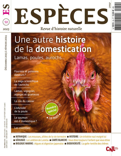 Espèces N°50 - Une autre histoire de la domestication  | Biodiversité | Scoop.it