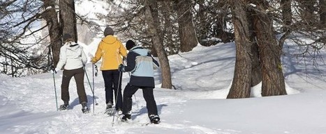 Nos conseils pour vos randonnées d’hiver près de Toulouse | Lacroix-Falgarde | Scoop.it