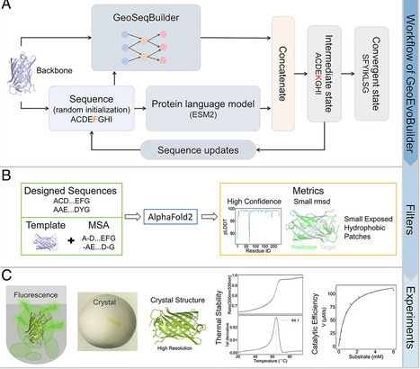 GeoEvoBuilder: A deep learning framework for ef...