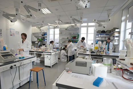 Cours - Research - Institut Pasteur | Health , Preventive  health | Scoop.it