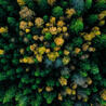 Biodiversit&eacute; - @ZEHUB on Twitter
