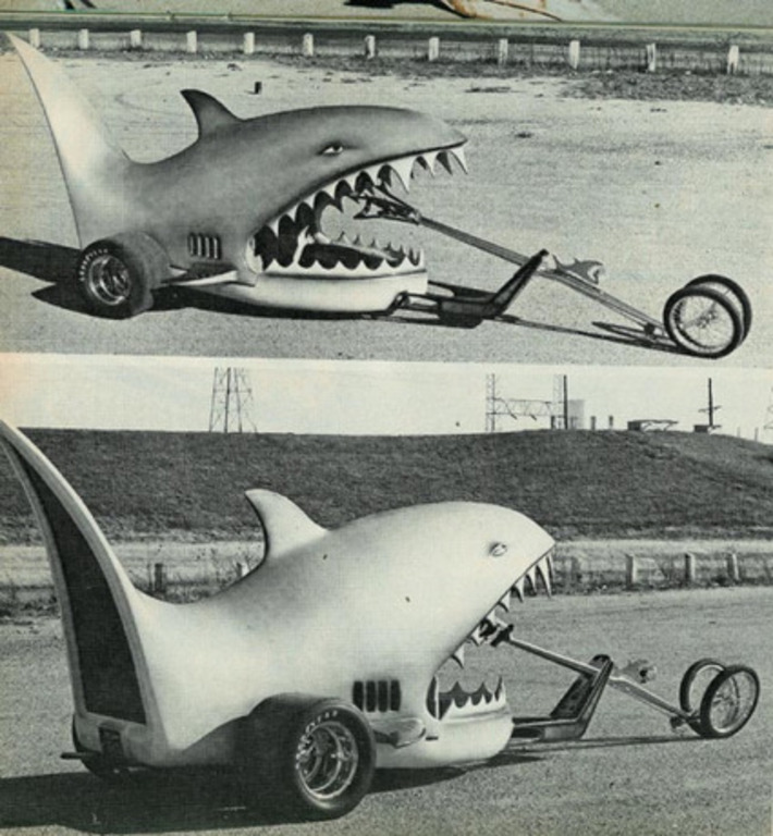 Land Shark | Kitsch | Scoop.it