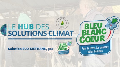 Bleu-blanc-cœur - « Éco-Méthane » : réduire le méthane entérique des vaches | Lait de Normandie... et d'ailleurs | Scoop.it