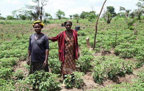 Time to change course: The future is in agroecology | Agroecologie et Systèmes Alimentaires Durables | Scoop.it