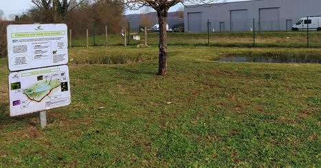 La biodiversit&eacute; et les zones d&rsquo;activit&eacute;s peuvent-elles cohabiter ? | ZAN - Z&eacute;ro artificialisation nette | Scoop.it