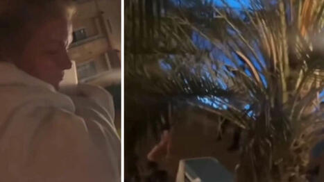 Paxar solstolar mitt i natten – får ångra sig direkt | 1Uutiset - Lukemisen tähden | Scoop.it