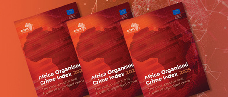 Africa Organised Crime Index 2025 | FATF | Scoop.it