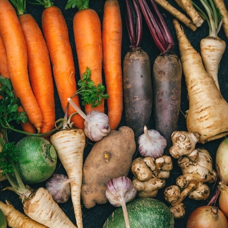 F&L : En Guadeloupe, le retour de légumes et fruits anciens pour consommer local | FRUITS ET LÉGUMES | Scoop.it