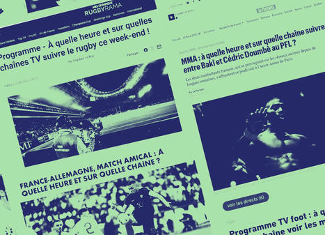 &laquo;&Agrave; quelle heure et sur quelle cha&icirc;ne?&raquo; L&rsquo;astuce pour sauver les audiences de la presse | DocPresse ESJ Lille | Scoop.it