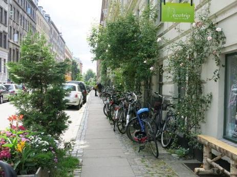 Paris : choisissez comment la rue de Citeaux sera v&eacute;g&eacute;talis&eacute;e | Paysage - Agriculture | Scoop.it