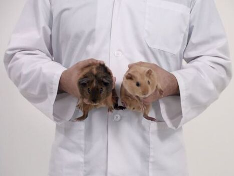 L&rsquo;hilarante publicit&eacute; canadienne pour lutter contre le cancer des testicules (vid&eacute;o) | Sant&eacute;, m&eacute;decine, sexualit&eacute; et culture g&eacute;n&eacute;rale | Scoop.it