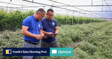 CHINA: How China’s AI push in agritech is changing global trade flows | ASIES | Scoop.it