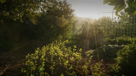 Au c&oelig;ur de l&rsquo;Eure : une ferme bio-inspirante | Une semaine d'actu - Newsletter de veille de l'AURH | Scoop.it