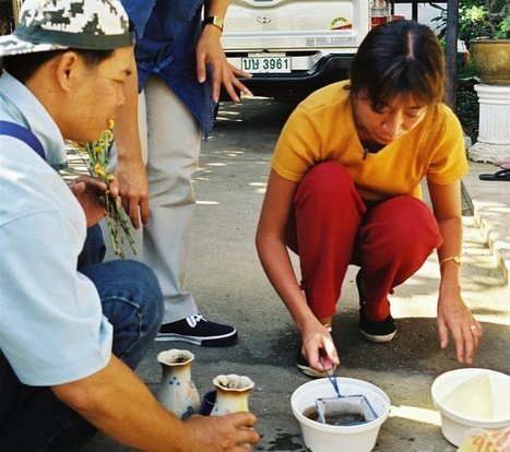 MOOC Entomologie m&eacute;dicale - Medical Entomology | EntomoScience | Scoop.it